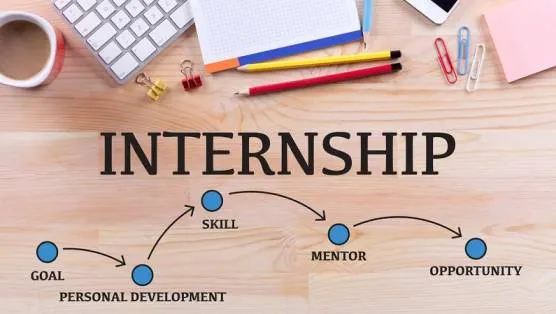 geogoinfotech-internship-program